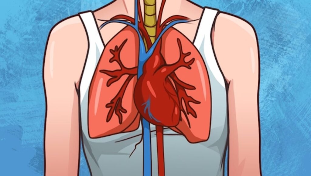 (Congestive) Heart Failure Causes, Symptoms & Treatments