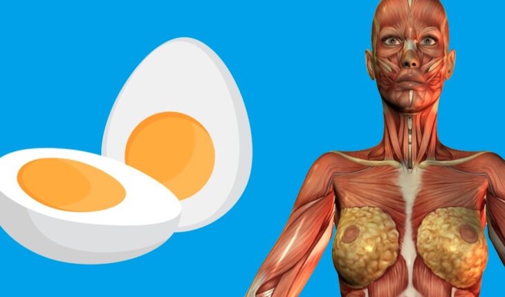 Here’s the REAL Reason Why You Should Eat Eggs Daily
