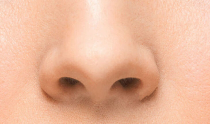 Dit is wat de vorm van je neus zegt over jouw persoonlijkheid