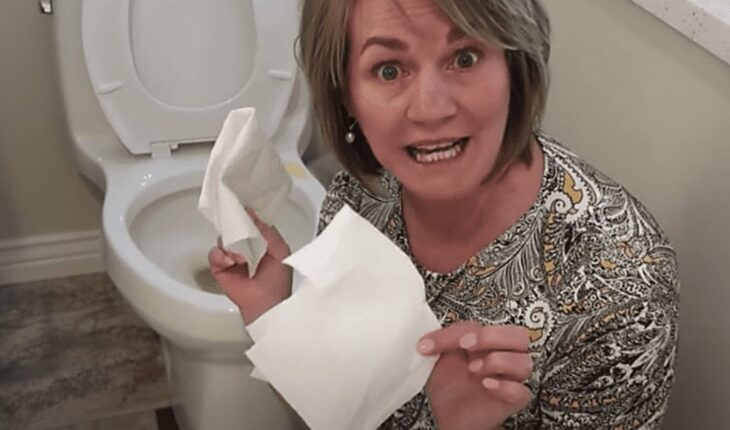 SUPERTIP: Put a Cloth With Vinegar in Your Toilet and See What Happens Next!
