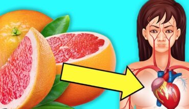 Dit gebeurt er met je lichaam als je elke dag een grapefruit eet!