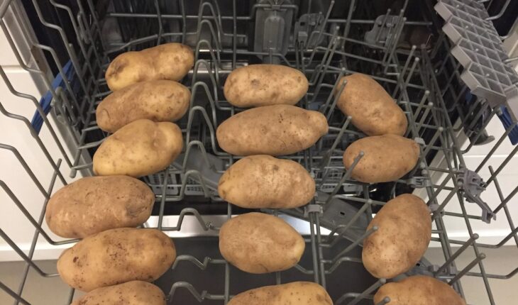 Der Grund, warum er die Kartoffeln in die Spülmaschine steckt, ist wirklich genial und schnell!