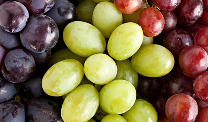 Jetzt, wo du das weißt, wirst du nie wieder kernlose Trauben kaufen!