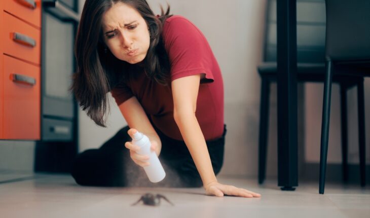 Pest Control Hacks That Are Guaranteed to Change Your Life