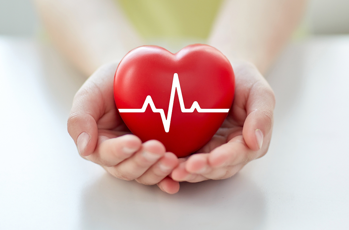 health, medicine, people and cardiology concept - close-up of hand with cardiogram on small red heart