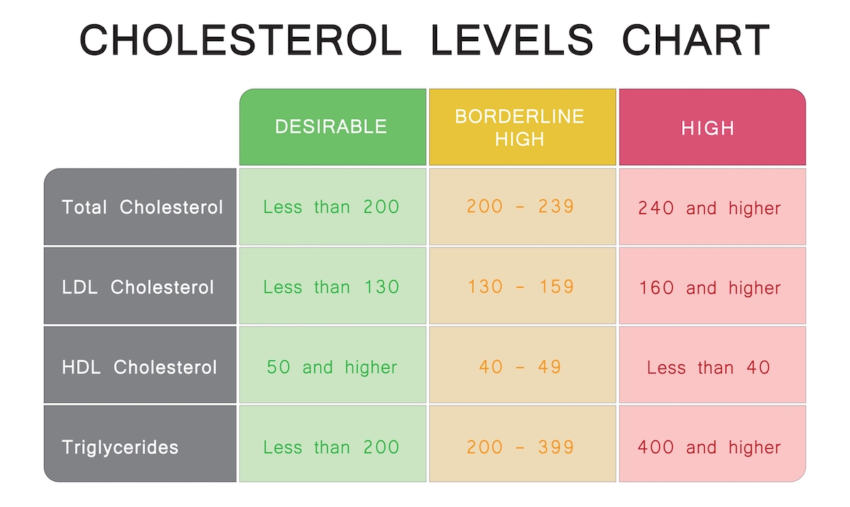 Cholesterol Levels Chart. HDL And LDL Cholesterol. Colorful Symbols. Vector Illustration

