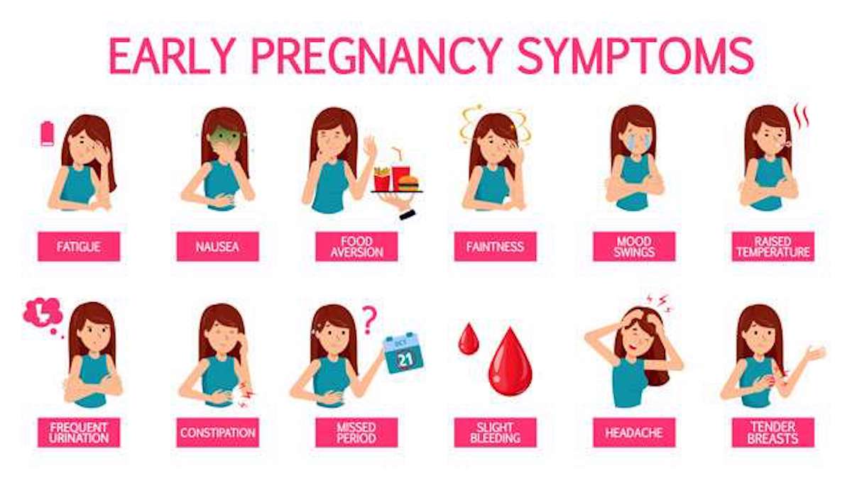 Infographic of early pregnancy symptoms
