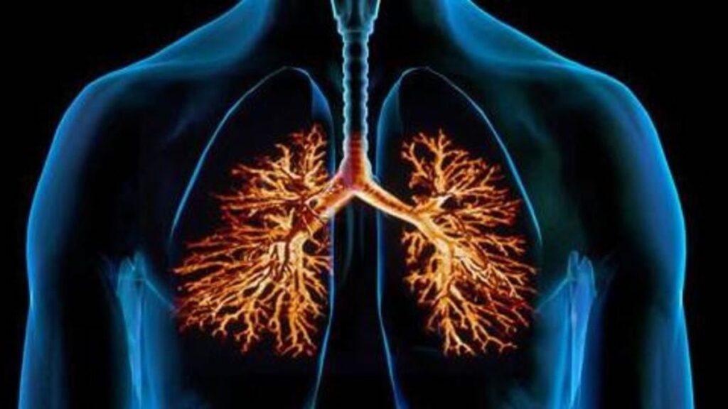 Bronchitis: Causes, Symptoms & When to See Your Doctor