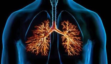 Bronchitis: Causes, Symptoms & When to See Your Healthcare Provider