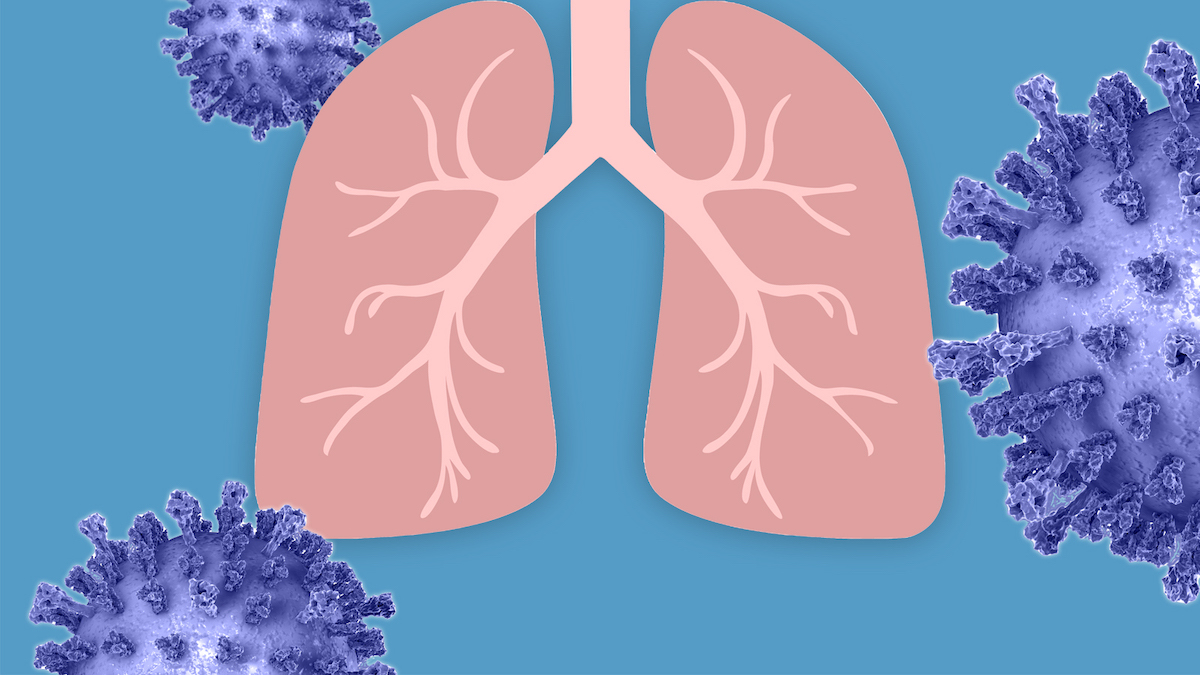 Illustration of the Lungs and Bacteria Like Rsv