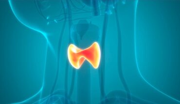 Thyroid Problems: Causes, Symptoms & Treatment Options