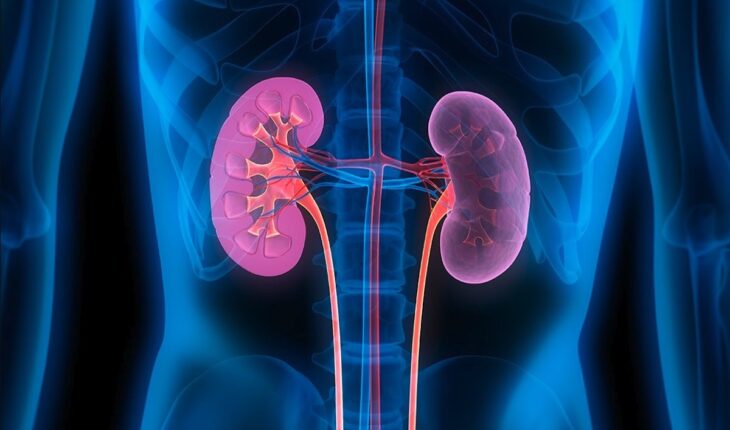(Chronic) Kidney Disease: Causes, Stages, Symptoms & Treatment