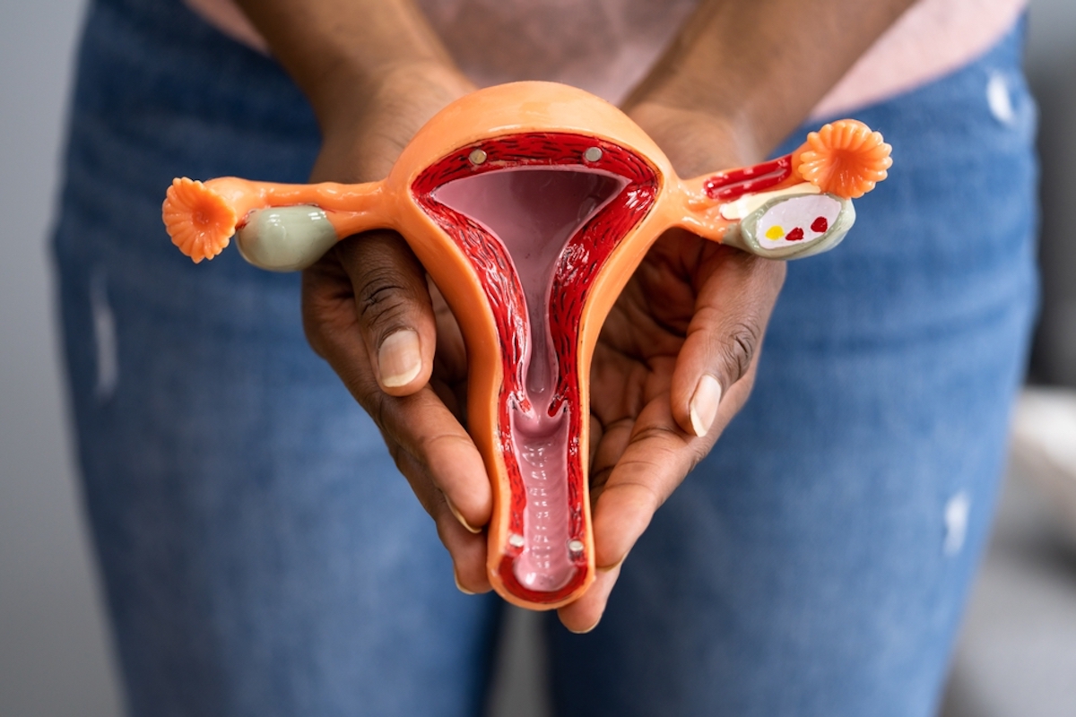 Woman holding the female reproductive system